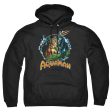 JUSTICE LEAGUE OF AMERICA : RULER OF THE SEAS ADULT PULL OVER HOODIE Black 2X Supply