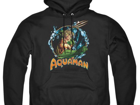 JUSTICE LEAGUE OF AMERICA : RULER OF THE SEAS ADULT PULL-OVER HOODIE BLACK 5X Online Sale