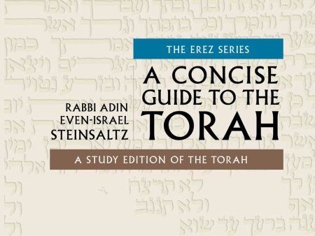 A Concise Guide to the Torah on Sale