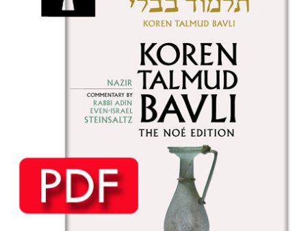 Vol. 19 Nazir - PDF Cheap