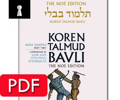 Vol. 24 Bava Kamma Part 2 - PDF Online Sale