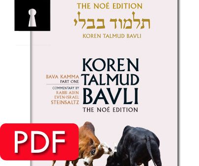 Vol. 23 Bava Kamma Part 1 - PDF Online Sale